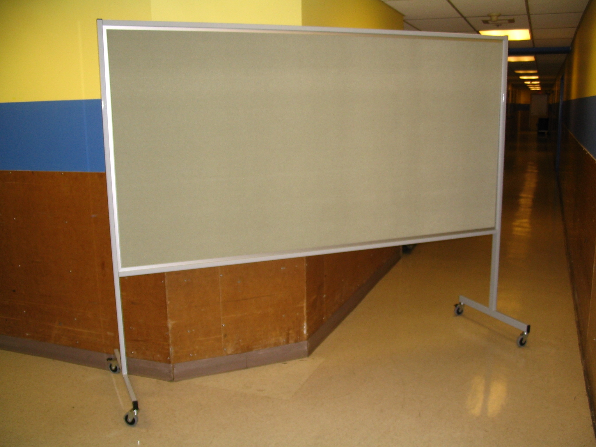 IBNS 2015 Annual Meeting